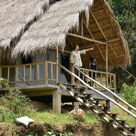 Ella Jungle Resort Eksteriør billede