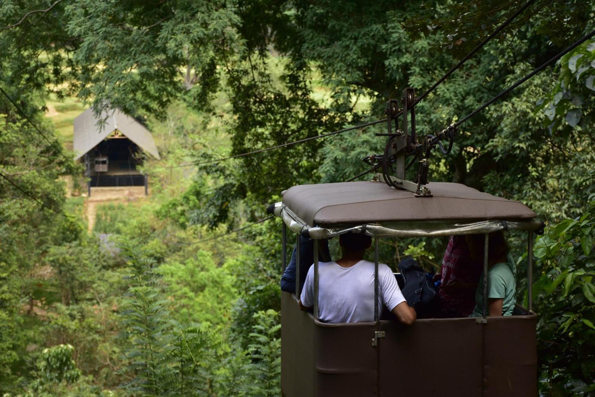 Ella Jungle Resort Eksteriør billede