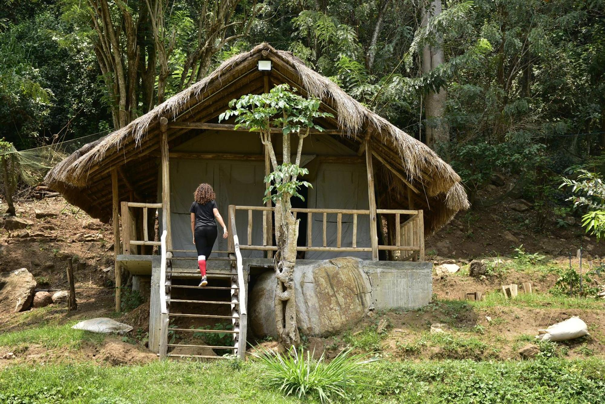 Ella Jungle Resort Eksteriør billede