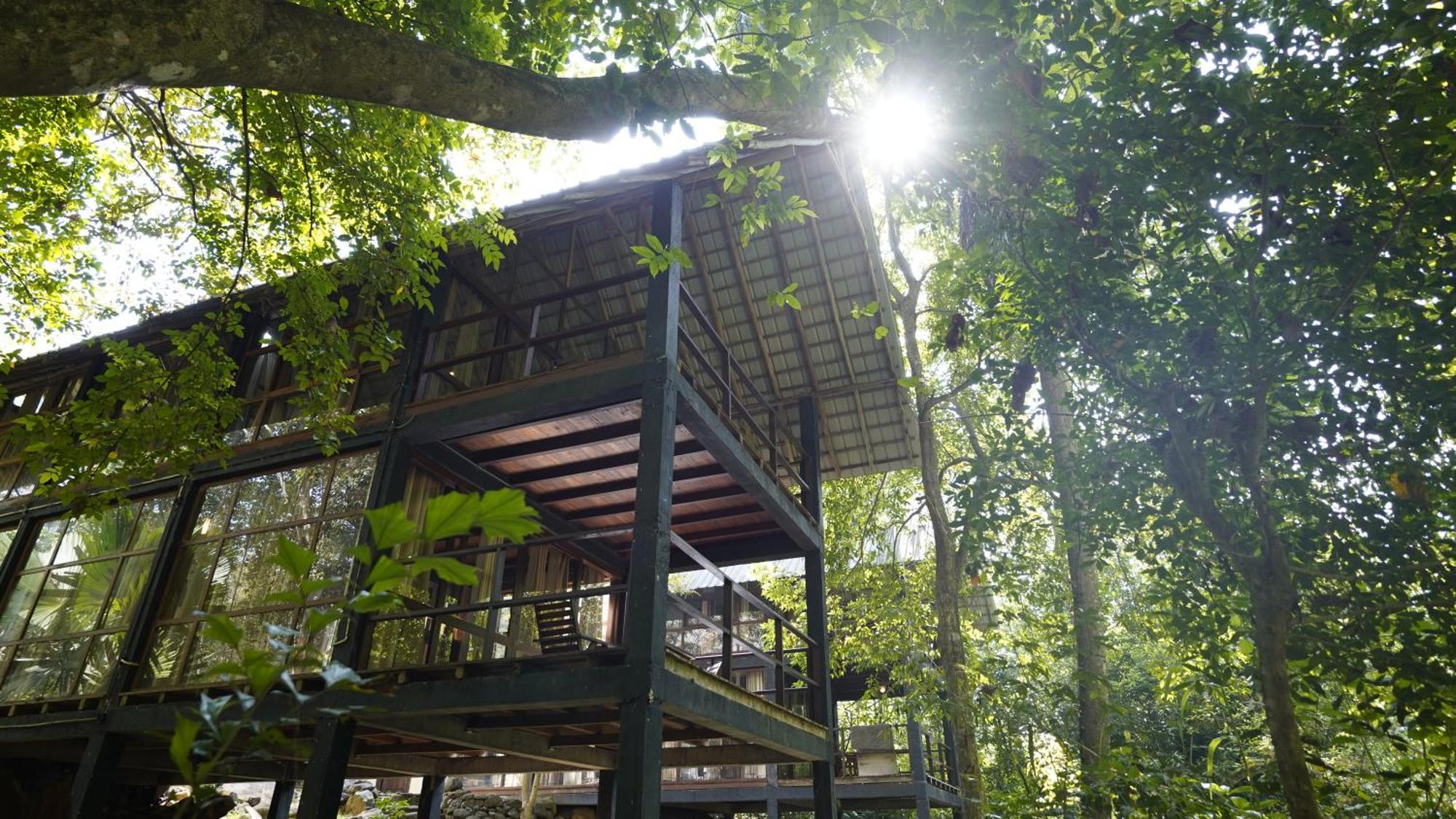 Ella Jungle Resort Eksteriør billede