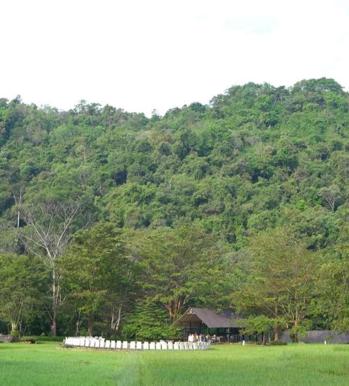 Ella Jungle Resort Eksteriør billede