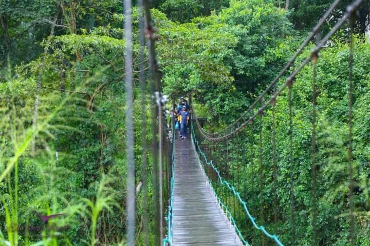 Ella Jungle Resort Eksteriør billede