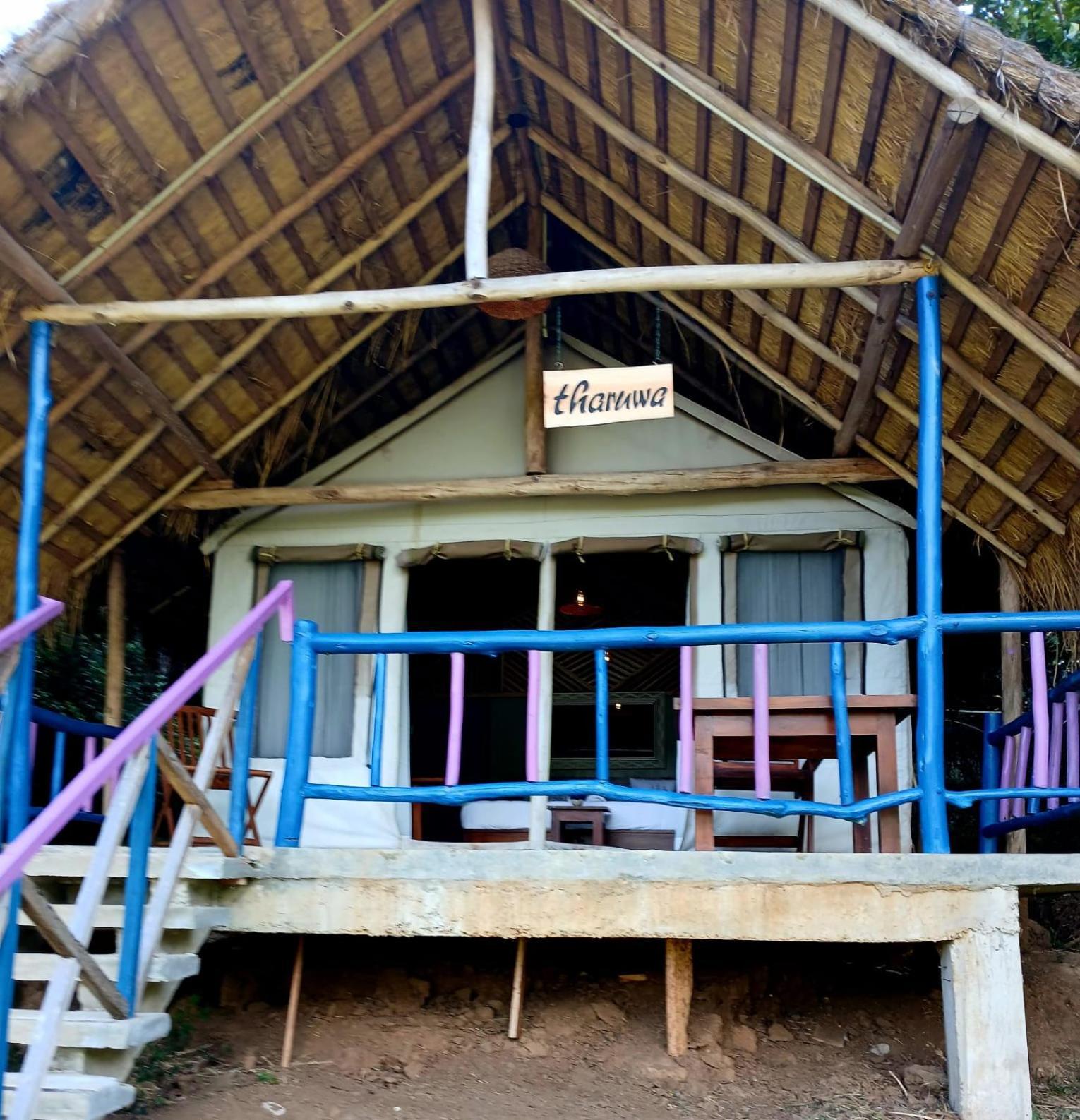 Ella Jungle Resort Værelse billede