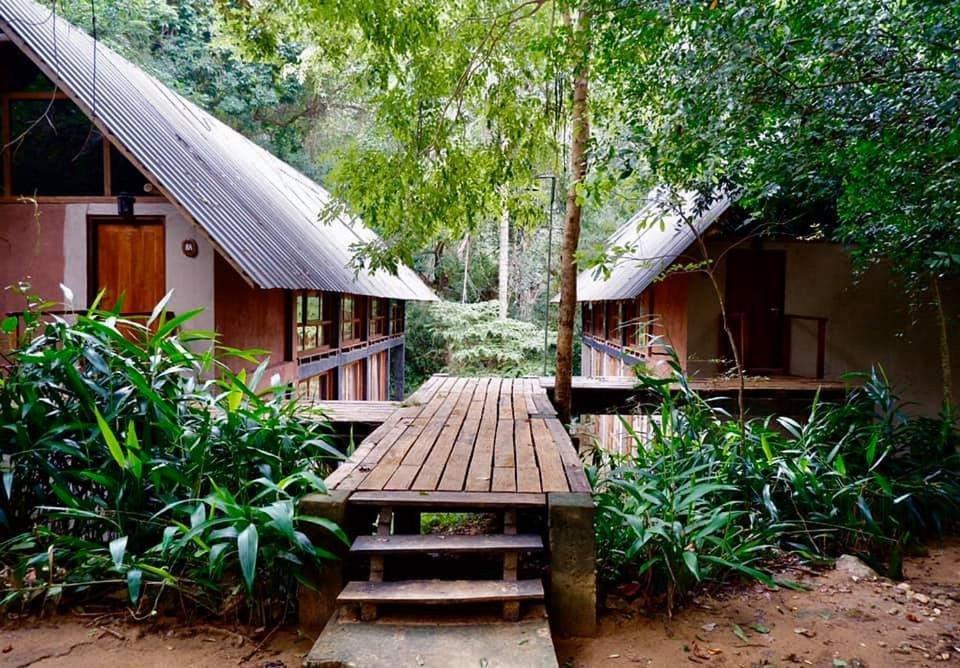 Ella Jungle Resort Værelse billede