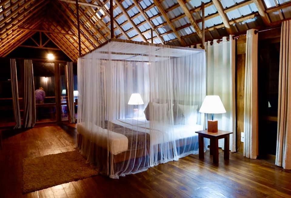 Ella Jungle Resort Værelse billede