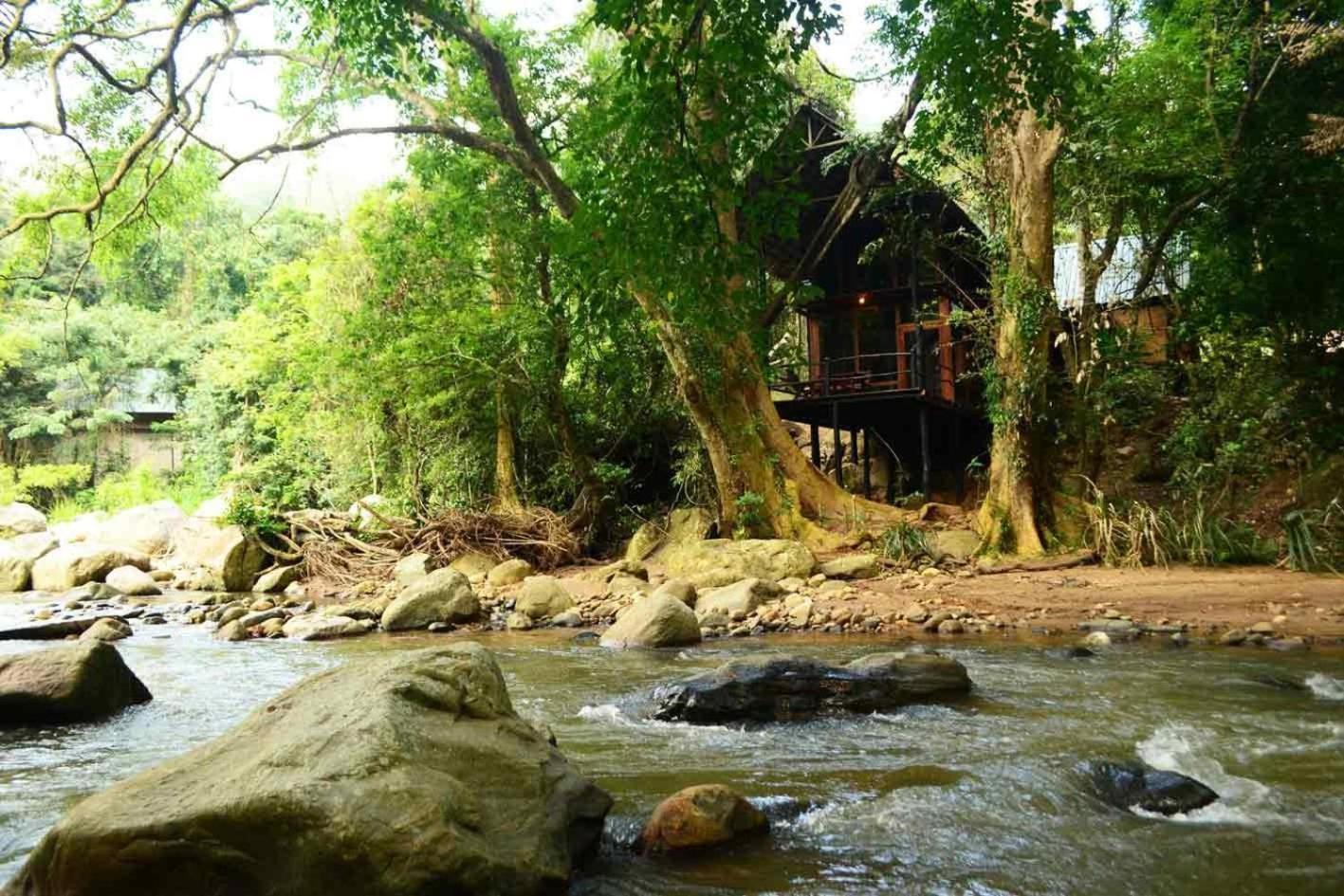 Ella Jungle Resort Værelse billede