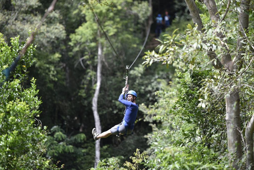 Ella Jungle Resort Eksteriør billede